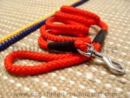 Cord nylon dog leash